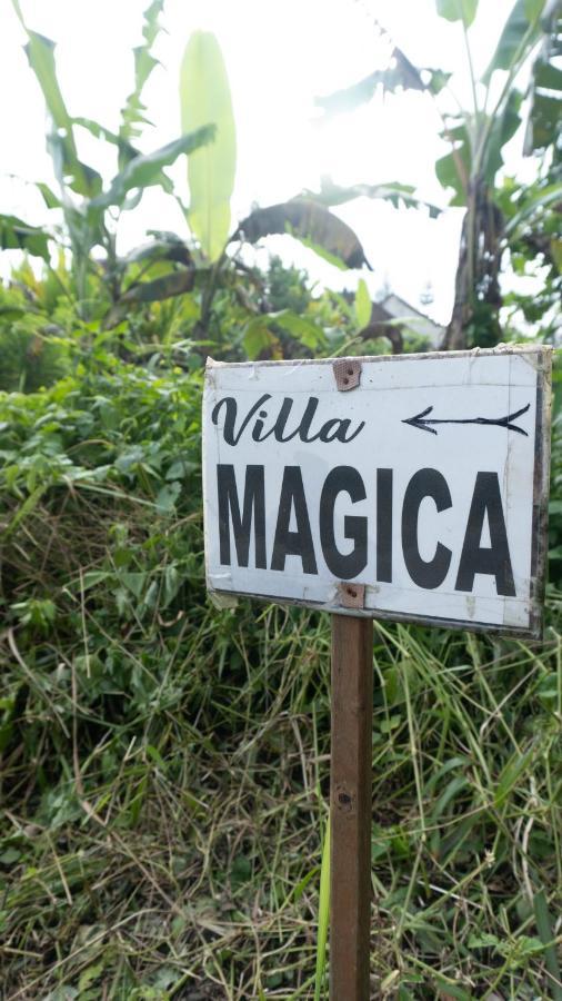 Villa Magica Ubud Zewnętrze zdjęcie