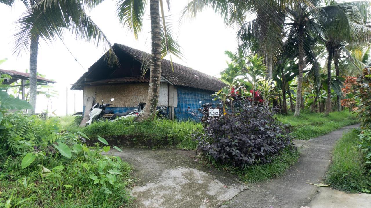 Villa Magica Ubud Zewnętrze zdjęcie