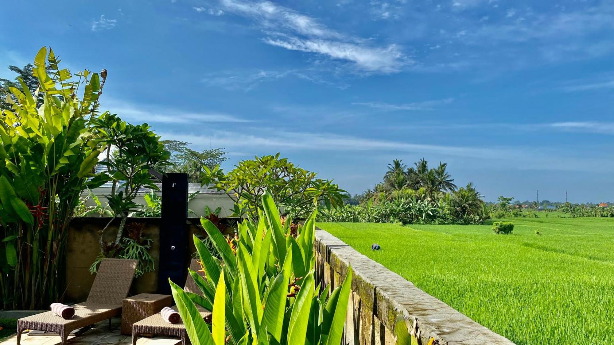 Villa Magica Ubud Zewnętrze zdjęcie